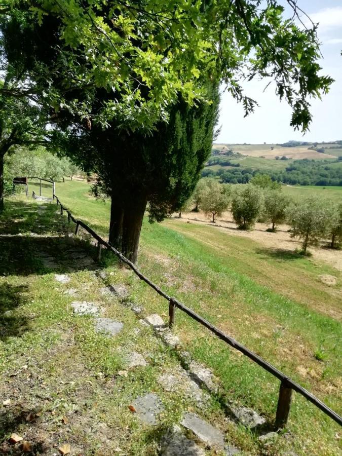 Agriturismo Podere Cherzo Cinigiano Extérieur photo