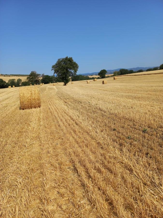 Agriturismo Podere Cherzo Cinigiano Extérieur photo