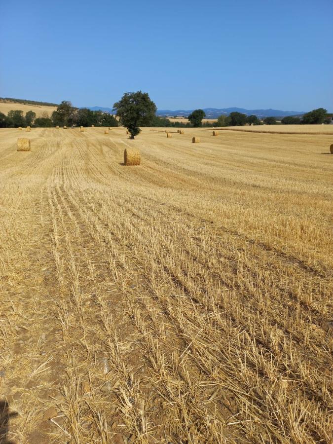 Agriturismo Podere Cherzo Cinigiano Extérieur photo