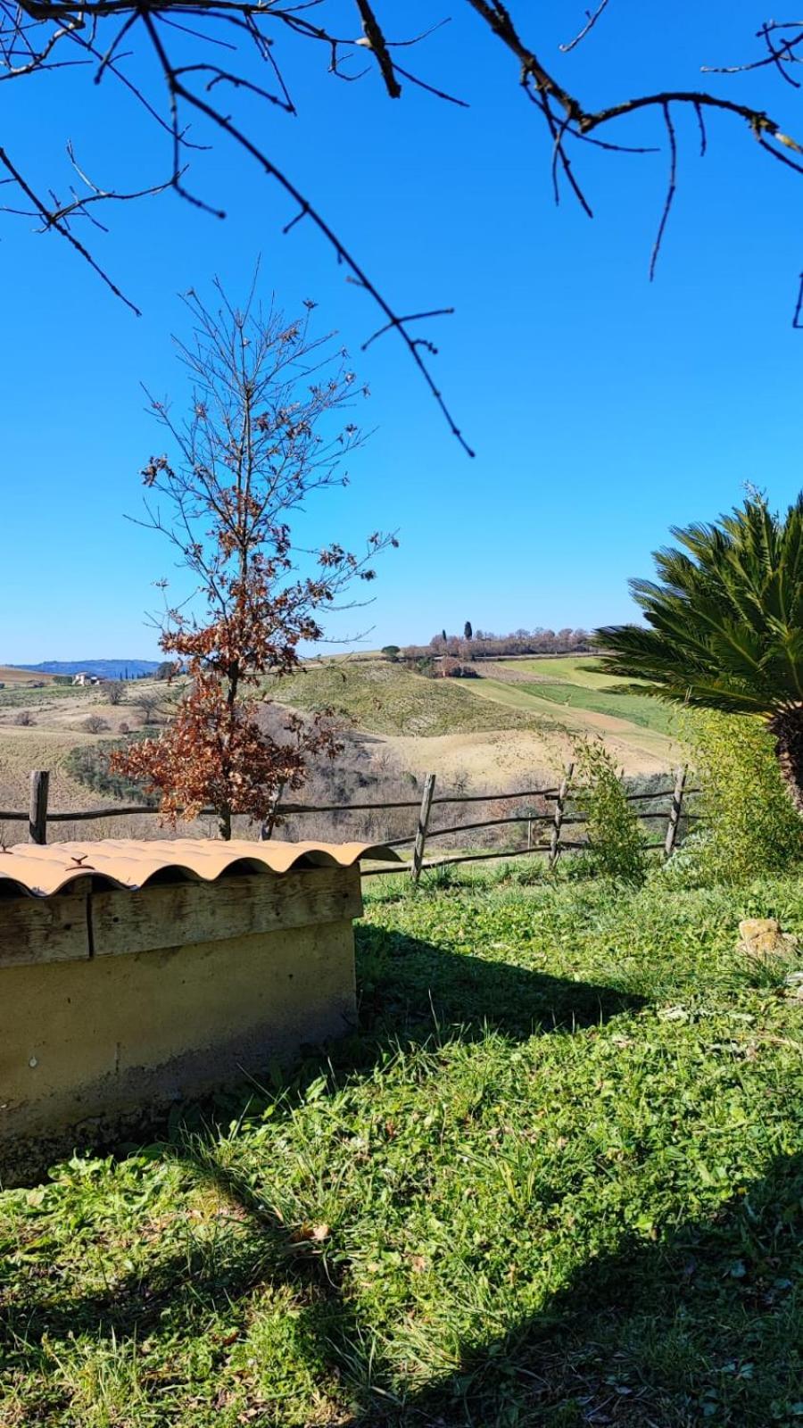 Agriturismo Podere Cherzo Cinigiano Extérieur photo
