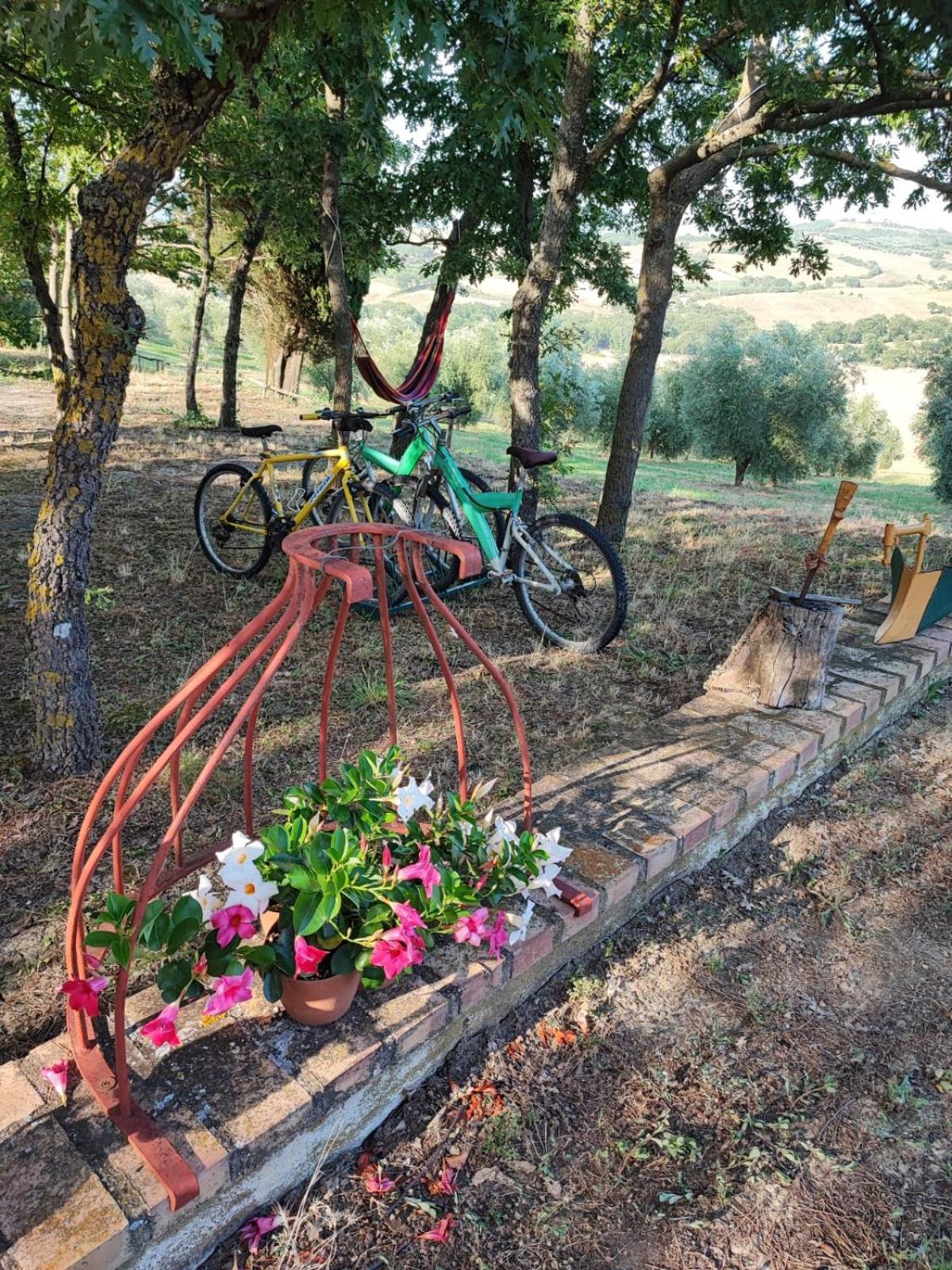 Agriturismo Podere Cherzo Cinigiano Extérieur photo